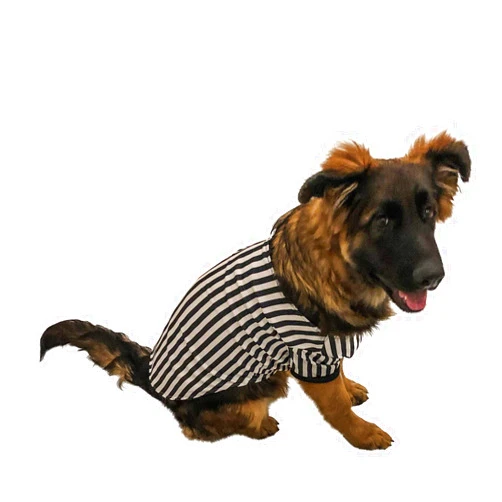 Midlee Referee Dog Halloween Costume (Large)