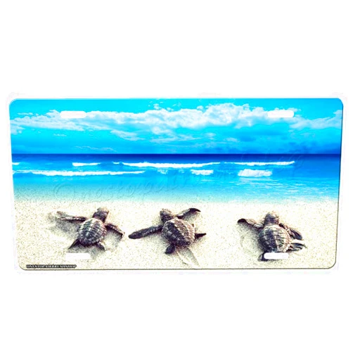 Onestopairbrushshop Sea Turtles Beach Front License Plate with Custom Background Options