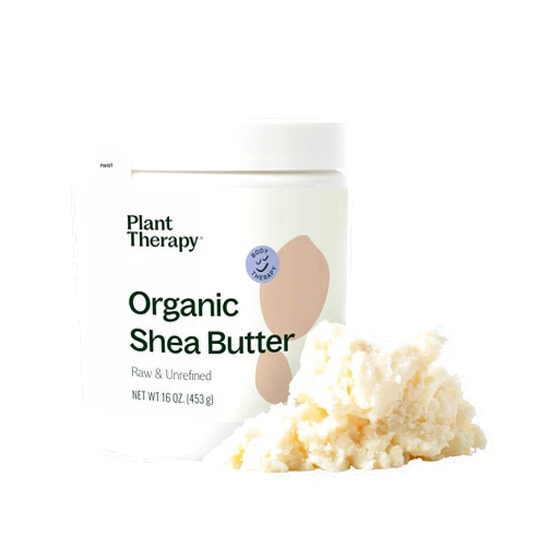 Plant Therapy Organic African Shea Butter Raw, Unrefined USDA Certified 16 oz Jar For Body, Face & Hair 100% Pure, Natural Moisturizer, Best for DIY Like Lotion, Cream, Lip Balm and Soap