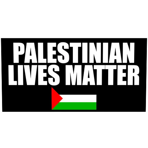 AV Palestinian Lives Matter Bumper Sticker (Support for Palestine People Vinyl Decal for car Truck or Laptop (3 x 6 inch)
