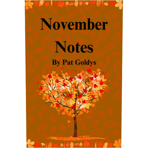 Pat Goldys November Notes
