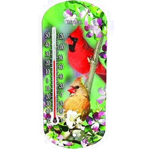 Taylor Bird Design Tube Thermometer Plastic