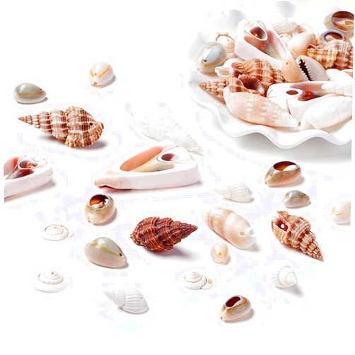 Craftdady 500g Mixed Color&Style Sea Shells Ocean Beach Seashells Shell Beads for Beach Theme Party Wedding Decoration, 16~45x8~27x8~27mm
