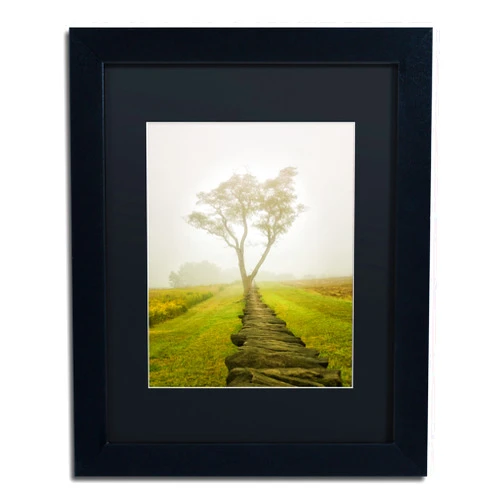 Trademark Fine Art Calming Morning by PIPA Fine Art, Black Matte, Black Frame 11x14-Inch
