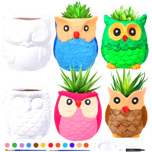Winlyn 6 Sets DIY Ceramic Owl Succulent Pots Figurines Paint Craft Kit Unpainted Ceramic Bisque Paintable Owl Ceramic Flowerpots with Drainage Hole Ready to Paint for Kids Classroom Craft Project Acticity