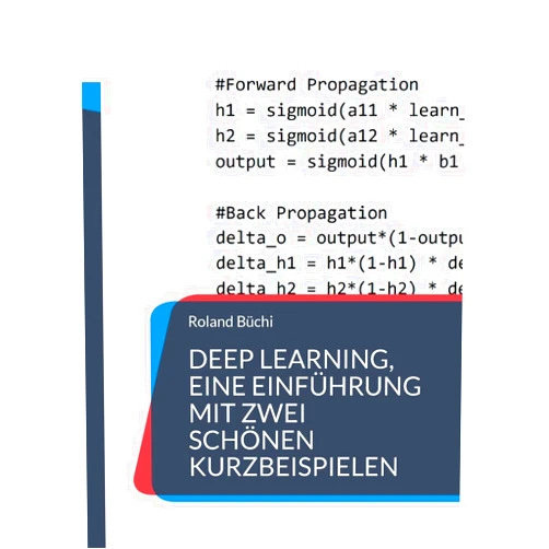 Roland Büchi Deep Learning, eine Einführung mit zwei schönen Kurzbeispielen (German Edition)