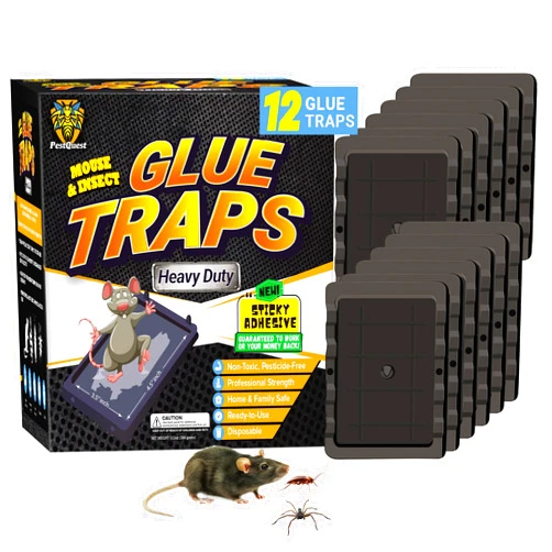 PestQuest Glue Mouse Traps Indoor for Home (12 Pack), Small Glue Mice Traps, Pre-Baited Peanut Scent Sticky Mouse Traps for Small Mice, Insects, Rodent, Bug & Spiders, Pet & Family Safe (Small, 12pk)