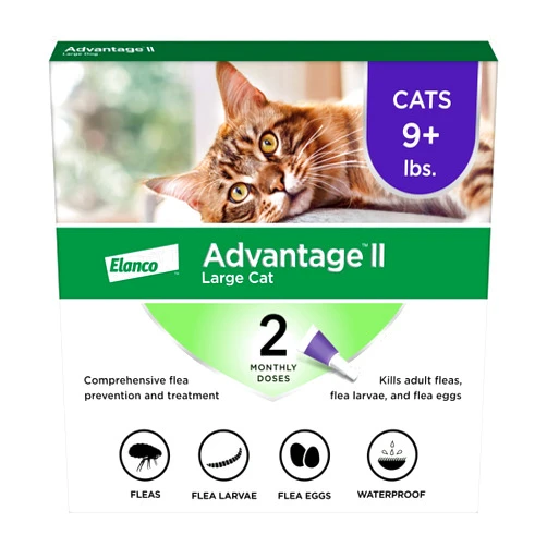 Advantage II Large Cat Vet-Recommended Flea Treatment & Prevention | Cats Over 9 lbs. | 2-Month Supply