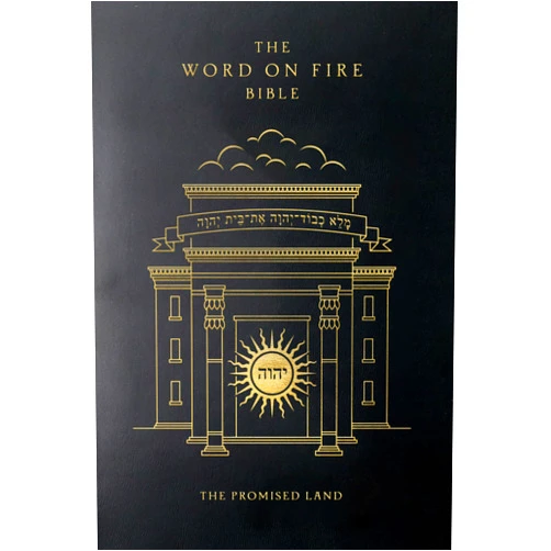 Word on Fire,Bishop Robert Barron The Word on Fire Bible (Volume IV): The Promised Land (Paperback) (Word on Fire Bible Series)