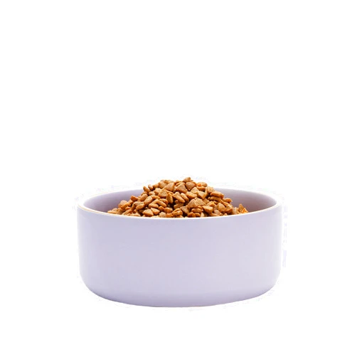 Waggo Edge Dog Bowl for Small Medium and Large Breeds - Clean Modern Matte Finish, Heavyweight and Durable Pet Food and Water Dish Crock, Dishwasher Safe (Lavender, 4 Cups)