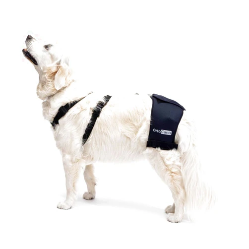 Ortocanis - Hip Brace - Support for Dog - Hip Pain, Dysplasia or Localized Osteoarthritis - Stabilizes and Reduces Pain - Made of ARD Neoprene - Size XS 38-51 cm
