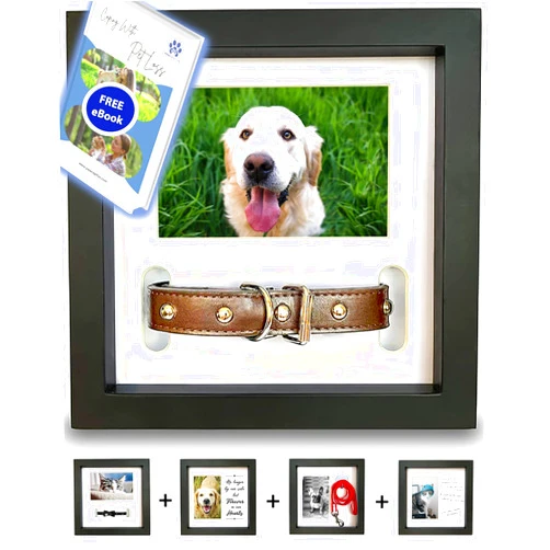 PAWCEPTIVE Dog Memorial Picture Frame with 5 Display Options- Dog Collar Memorial Frame Gift - Cat or Dog Pet Loss Gift for a Grieving Friend - Pet Remembrance Gift and Sympathy Photo Keepsake