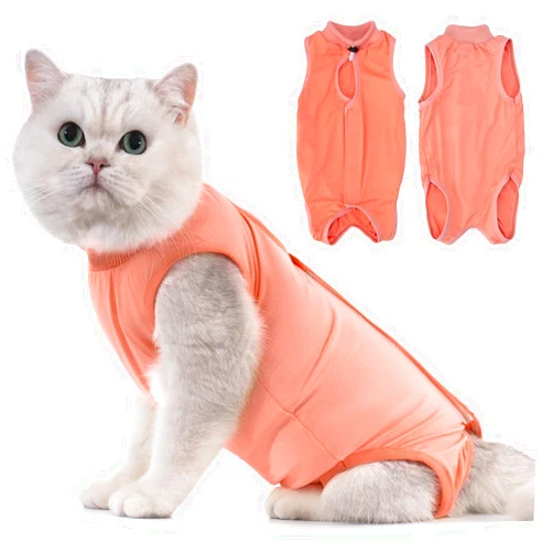 Avont Cat Recovery Suit - Kitten Onesie for Cats After Surgery, Cone of Shame Alternative Surgical Spay Suit for Female Cat, Post-Surgery or Skin Diseases Protection -Coral(S)