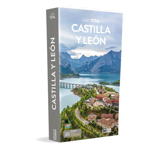 Spanish Edition by Alfredo Ramos Campos (Author), Rubén Duro Pérez (Author), Ignacio Medina Bañón (Author) & 0 more Castilla y León