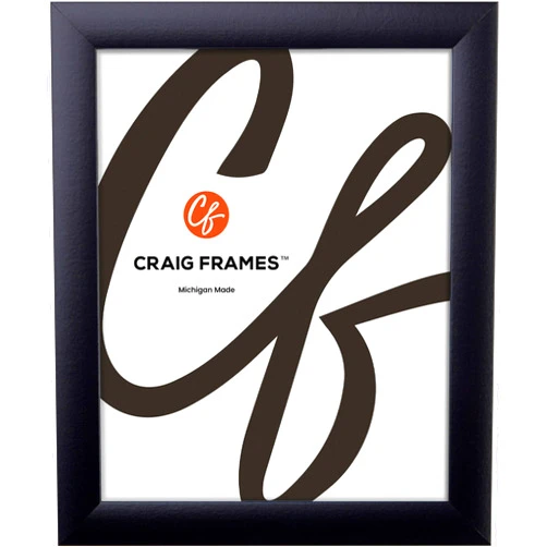Craig Frames Contemporary, 26x34 Large Black Poster Frame, 1