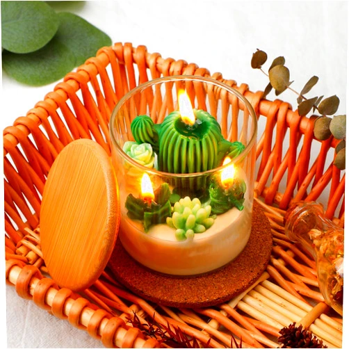 Tondiamo Succulent Cactus Candles Gift,3.15 Inch Scented Decorative Terrarium Plant Candles Votive for House Warming Wedding Baby Shower Spa Home Decoration Teacher Appreciation Mothers Gifts
