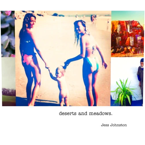 By Jess Johnston (Author) Deserts and Meadows