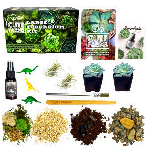 Cute Farms Terrarium Starter Kit | Moss, Vermiculite, Soil, Pebbles, Plant Food, Finishing Tools, Build and Care Guide | DIY Succulent Terrarium for Adults and Kids (Large + Live Plants)