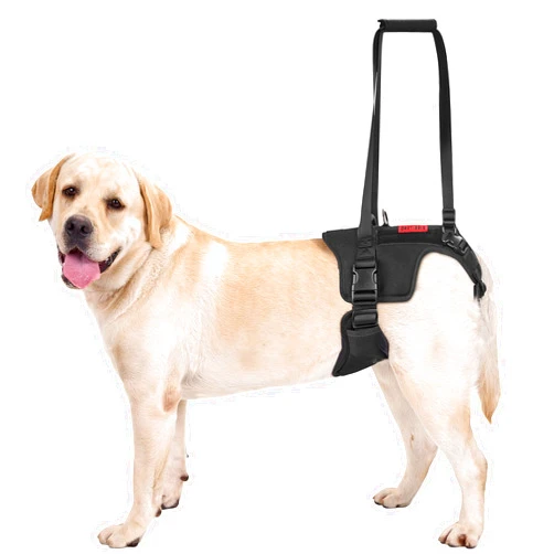 OneTigris Victus Support Harness,Lightweight & Simple Mobility Assistance Vest with Grab Handle | Pet Lifting Rehabilitation Gear | Rear Leg Support Straps