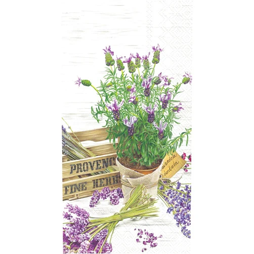Boston International IHR 3-Ply Paper Napkins, 16-Count Guest Size, Everlasting Love