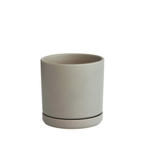 D'vine Dev Ceramic Planter Pot with Drainage Hole and Saucer, Indoor Cylinder Round Planter Pot, 6 Inch, Grey, 94-O-S-3