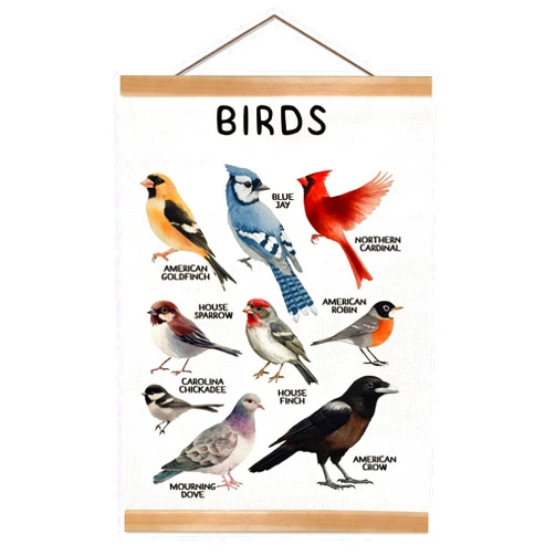 ZTGDA Birds Vintage Wall Art – Hanging Poster with Solid Wood Frame, Linen Canvas Bird Illustration Poster,Birds Wall Decor for Living Room Playroom Classroom, Birds Lovers Gift 12x16inch