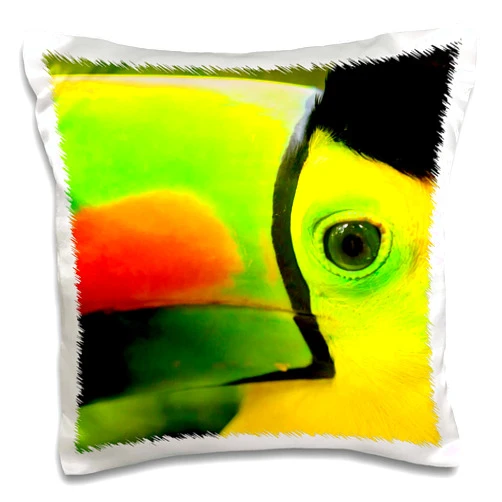3dRose 3D Rose Keel Billed Toucan National Bird Zoo Near City Belize Pillow Case, 16