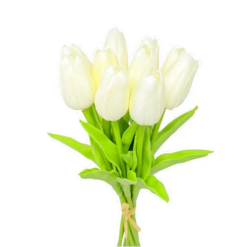 Cutefornia Elegant Lifelike Tulip Arrangement - Set of 10 Stems (Cream)