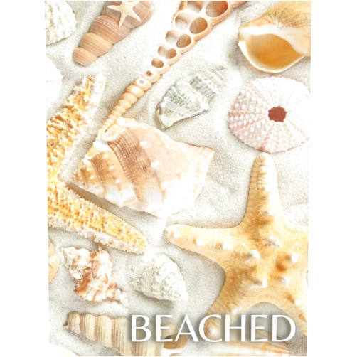 CDDH Publishing Beached: Decorative Book for Stacking on Coffee Tables & Bookshelves | Perfect for Coastal Themed Home Decor Interior Design & Staging (Beach House Series)