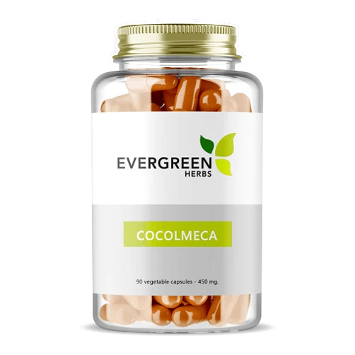 Evergreen Herbs Cocolmeca Capsules - 450 mg. - 90 Capsules - Smilacaceae, Greenbrier, Sarsaparilla, Smilax