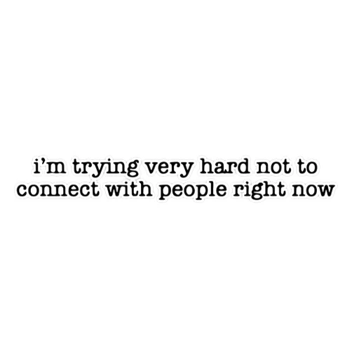 StickerU I'm Trying Very Hard Not To Connect with people right now Bumper Sticker Vinyl Decal 5 inches