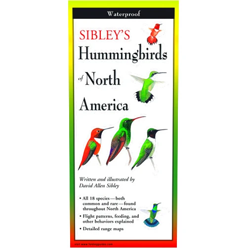 David Allen Sibley Sibley's Hummingbirds of North America