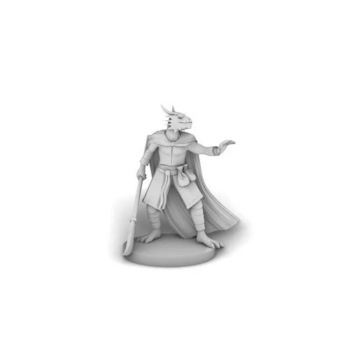 TDD MINIS Dragonborn Sorcerer Psion With Glaive Tabletop DND Gaming Miniature