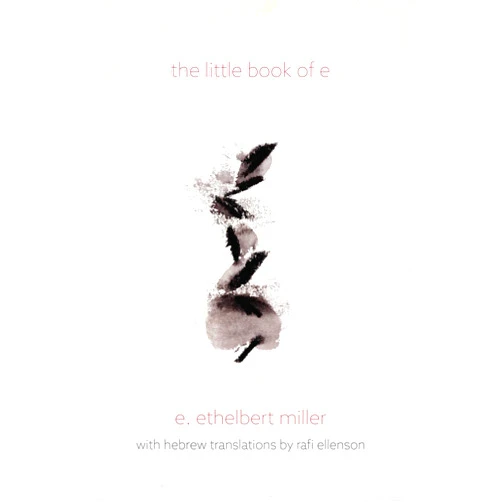 E. Ethelbert Miller,Rafi Ellenson the little book of e