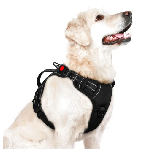 rabbitgoo Dog Harness for Large Dogs, No Pull Pet Harness with Soft Padded Handle, Adjustable Reflective Vest with 3 Buckles, Easy Walking Harness with 2 Leash Clips, Black, L