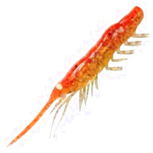 MAGBITE MBW06 Snatch Bite Shrimp 4