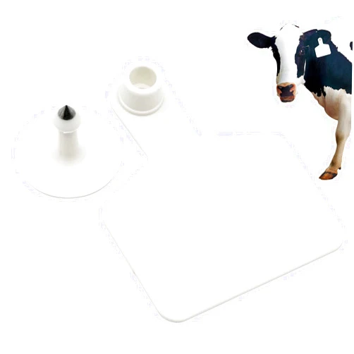 Junniu 100 PCS Blank Cattle Ear Tags Cows Livestock Identification TPU Precision Tags for Pigs Goats Sheep Calf Animal (White), 3inchL* 2.48inchW