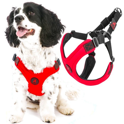 Gooby Escape Free Sport Harness - Red, Small - No Choke Step-in Patented Neoprene Small Dog Harness with Four-Point Adjustment - Perfect on The Go Dog Harness for Medium Dogs No Pull and Small Dogs