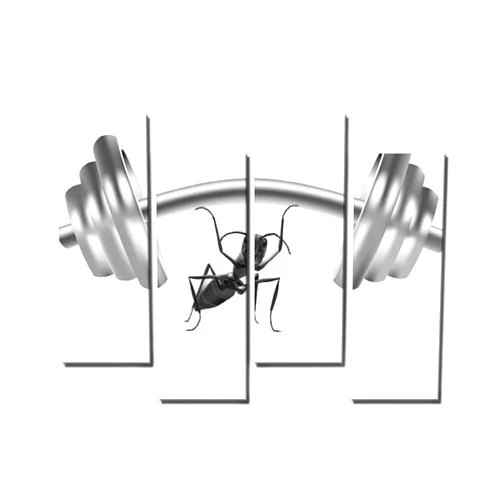 Wocatton Ant lifting weight dumbbell body building Wall Art Background Decor Pictures Print On Canvas Art Stretched and Framed Perfect Home Decoration