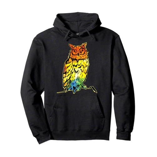 CharlIan Minds - Cute Owl Animal Lover Cute Owl Art Colorful Splash Art Funny Animal Pullover Hoodie