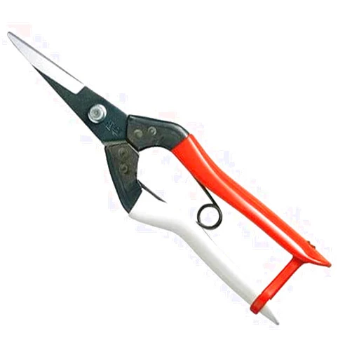 Okatsune Bud Cutting Shears in Box No. 304