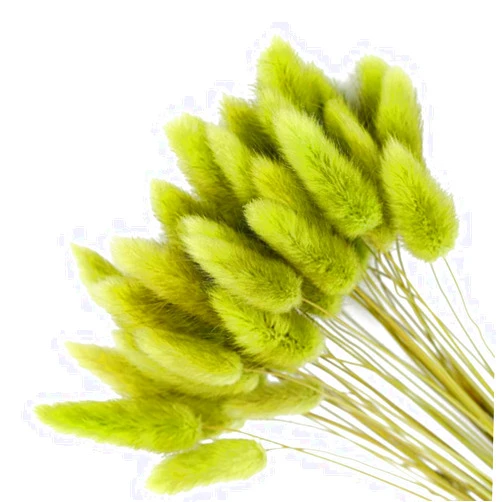 ChYoung 50pcs Fluffy Dried Bunny Tails Pampas Grass Decor, Multi-Colored Artificial Flowers Bouquet for Wedding Boho Home Table Decor Rustic Farmhouse Party Supplies