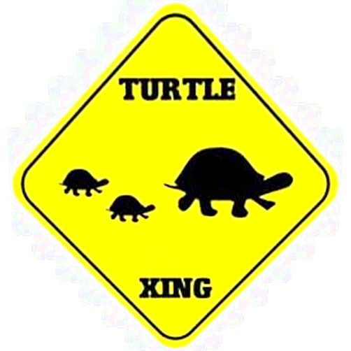 JINKAIRUI Metal Tin Turtle Sign for Home Office Indoor Outdoor Wall Decor Yard 12