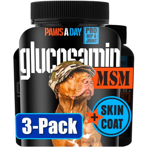 Paws A Day Glucosamine for Dogs Hip & Joint Supplement – “Two-in-One Combo” Dog Joint Care and Improved Skin & Coat with Chondroitin, MSM, Omega 3, Collagen & Biotin, 60 Chewable Tablets (3-Pack)
