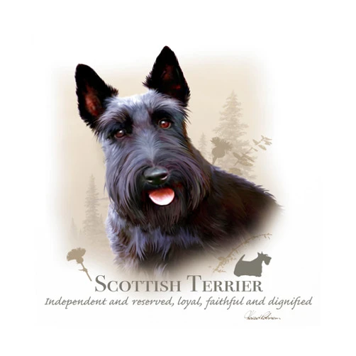 Trademark Fine Art Scottish Terrier by Howard Robinson, 14x14-Inch