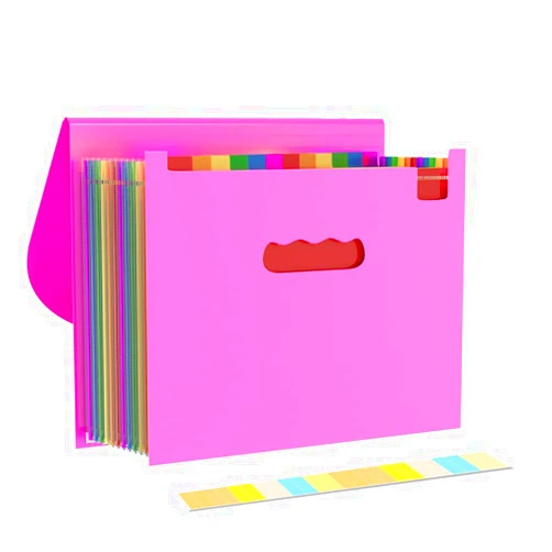 CN1ST Expanding File Folder with Sticky Labels, Accordian File folders Organizer, Expandable Filing Folder for Documents Letter Size and A4 Size