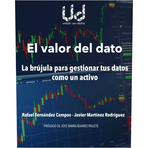 Don Rafael Fernández Campos,Don Javier Martínez Rodríguez El valor del dato: La brújula para gestionar tus datos como un activo (Spanish Edition)