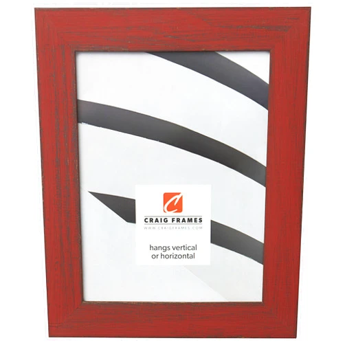 Craig Frames B923 Jasper Picture Frame, 20