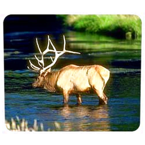 Lumalack Elk Mousepad