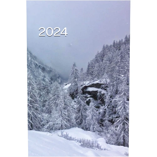 Margaret Bricchi Agenda 2024 (Italian Edition)